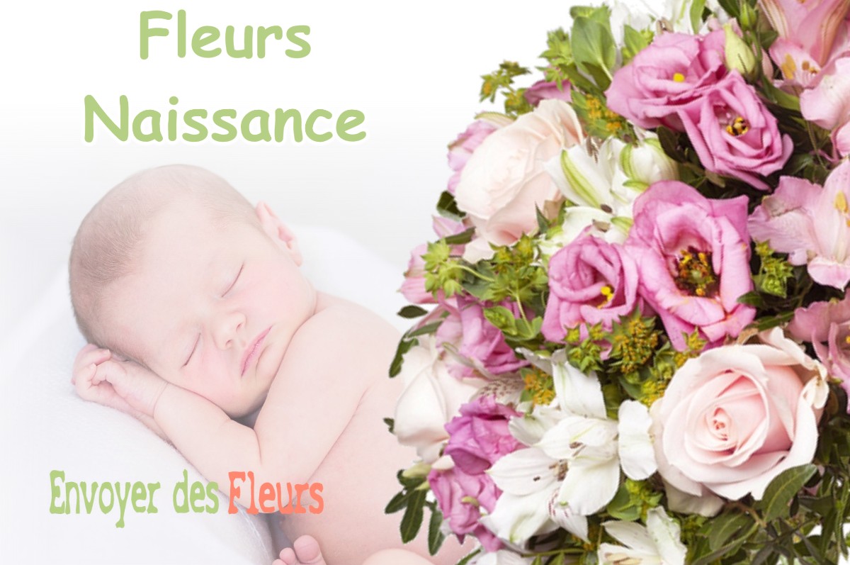 lIVRAISON FLEURS NAISSANCE à GAUJACQ